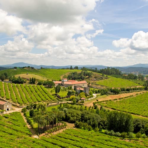 Pazo Baión apuesta por el enoturismo experiencial en Semana Santa