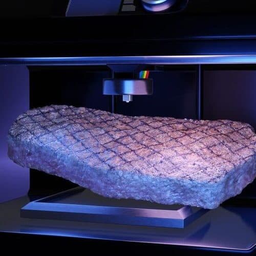 Del laboratorio al plato: la bioimpresión revoluciona el futuro de la alimentación