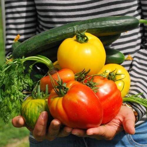 ¿Por qué cuesta más lo que viene de cerca? Los motivos detrás del precio de los alimentos locales