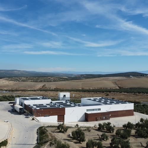 Cortijo de Guadiana, empresa perteneciente al Grupo Castillo de Canena, se convierte en la primera finca de olivar que obtiene el certificado AENOR de Agricultura Regenerativa