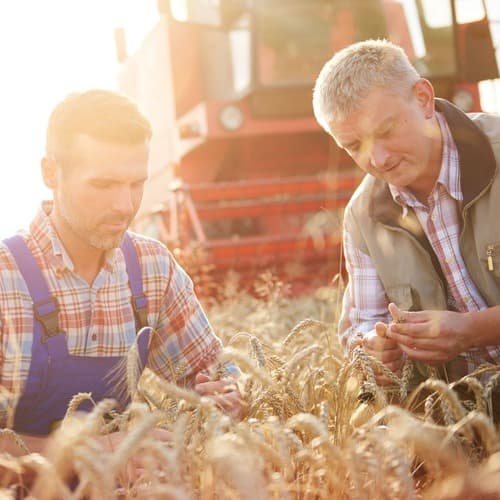 “Sustainable Futures”, de Mondelēz International, invierte en la plataforma europea de agricultura regenerativa eAgronom