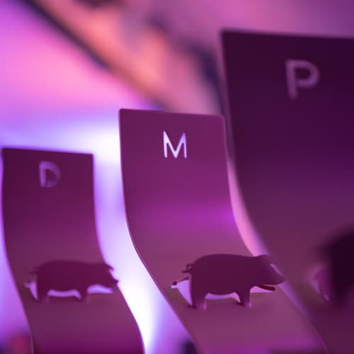 Anunciadas las 34 granjas nominadas a los Premios Porc d’Or Ibérico