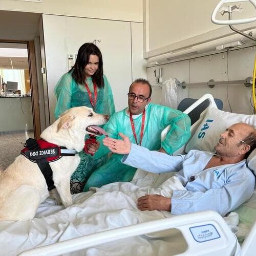 Purina España colabora con el proyecto pionero HospiGos para facilitar el reencuentro entre pacientes hospitalizados en el Hospital Santa Caterina de Girona y sus perros