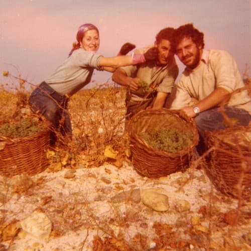 Bodega Cuatro Rayas presenta un libro que reescribe parte de la historia de la DO Rueda y de la uva verdejo