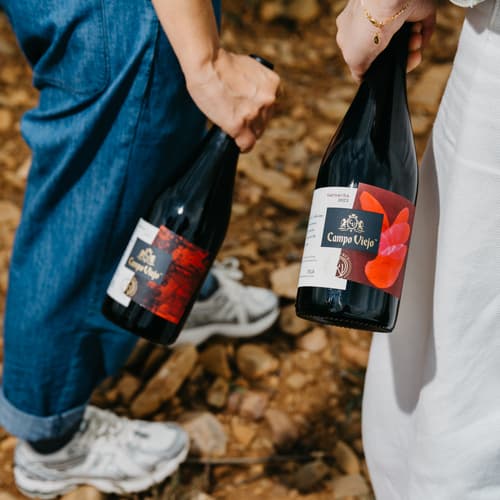 Campo Viejo lanza “Wine Experience Collection”, su colección más disruptiva y exclusiva