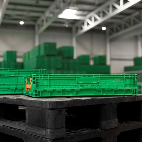 Logifruit cierra 2024 con un crecimiento del 7% y una nueva sede en Almeirim