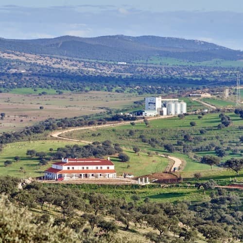 Aljomar consolida su modelo ganadero sostenible en Vera Vieja, filial Agropecuaria del Grupo
