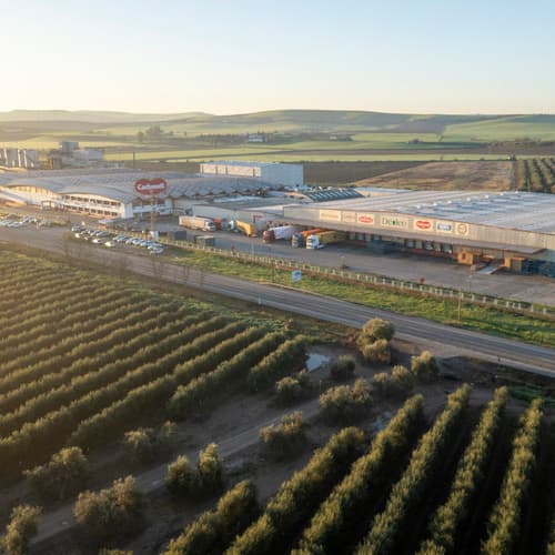 Deoleo, primera empresa oleícola en España con objetivos climáticos validados por la iniciativa SBTi