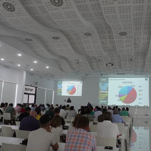 Dcoop continúa apostando por la formación para mejorar la calidad de los aceites producidos por sus socios