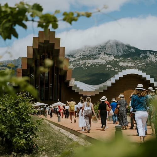 El Rioja Report 2025 destaca a Ysios como referente de calidad en la DOC Rioja