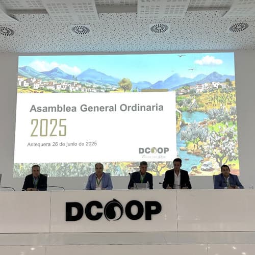 Dcoop define su estrategia futura en su asamblea general