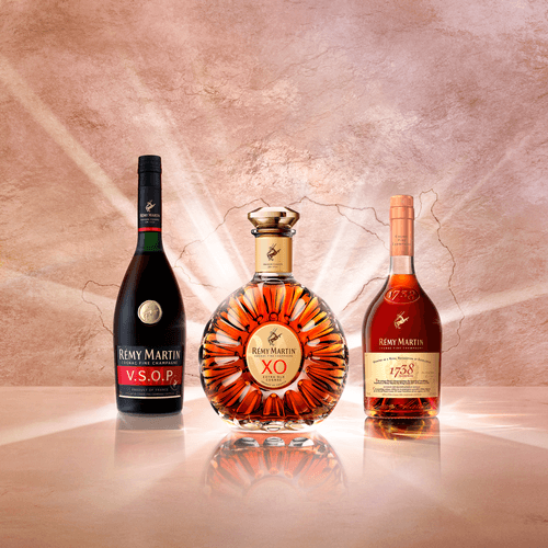 Los mejores coñacs para disfrutar del Día Mundial del Coñac, y de cualquier celebración, con Rémy Martin