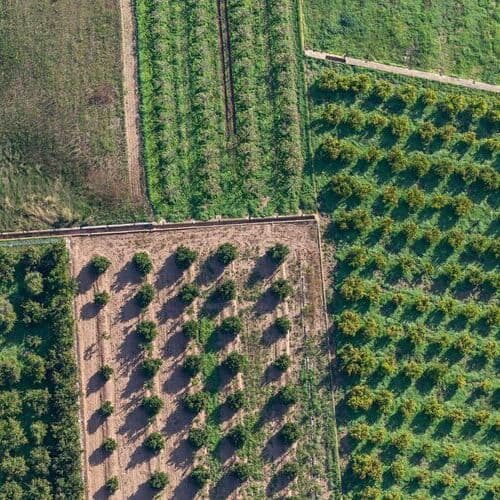 La contratación de pólizas de seguros agrarios crece un 2% en 2024 y supera los 1.000 millones de euros por segundo año consecutivo