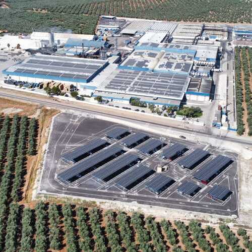 Agrosevilla incrementa un 19% su facturación impulsada por su estrategia de diversificación internacional