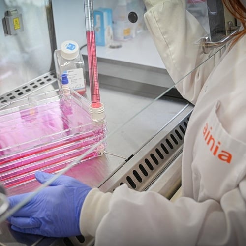 Investigación para impulsar la producción de proteínas alternativas y carne cultivada