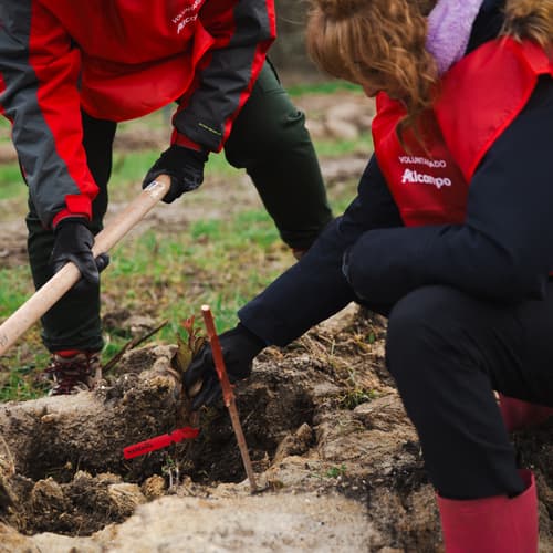 El Bosque Comestible del Valle de las Caderechas echa raíces con la plantación de los primeros 250 árboles frutales por parte de voluntarios de Alcampo