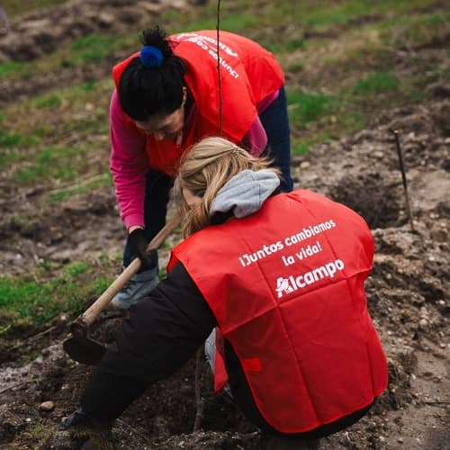Alcampo, a través de su fundación, apoyará cinco proyectos vinculados con la buena alimentación por valor de más de 95.000 euros