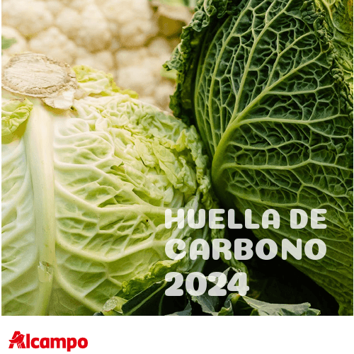 Alcampo redujo un 9% sus emisiones de CO₂ por metro cuadrado en 2024