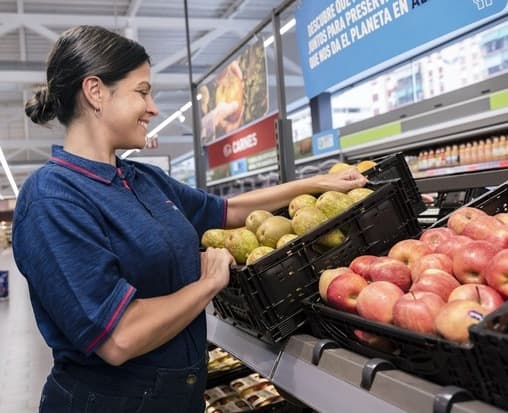 ALDI contratará a más de 500 trabajadores y trabajadoras durante el último cuatrimestre de 2024