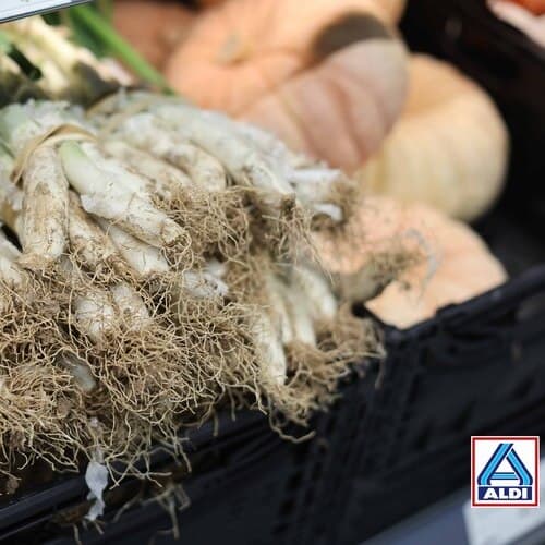 ALDI incrementa hasta un 20% la compra de calçots de origen nacional este 2025