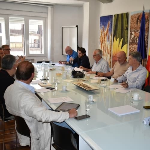 Desvelado el lugar y fecha del próximo Encuentro Nacional de la Almendra y la Avellana