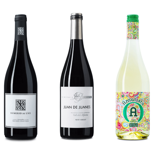 Anecoop Bodegas revalida su título de mejor cooperativa de España en Berliner Wein Trophy