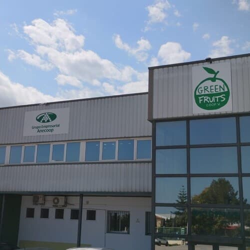 Green Fruits Coop.V. incrementa su facturación un 21,8% en el ejercicio 2023-2024