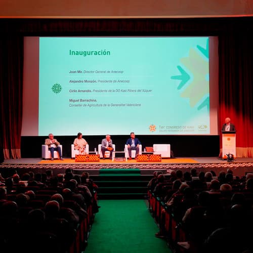 Anecoop organiza el Primer Congreso de Kaki del Grupo Persimon