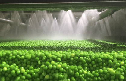 La ultracongelación de verduras permite aprovechar hasta un 95% de la materia prima