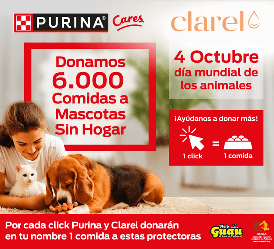 Purina y Clarel se alían para apoyar a mascotas sin hogar en el Día Mundial de los Animales