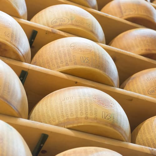 Dalterfood Group cierra 2024 con crecimiento en facturación y volúmenes