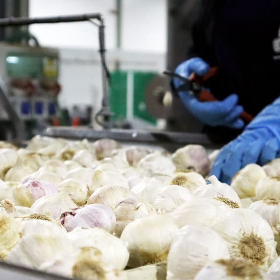 Grupo Lomar usa IA para reducir el desperdicio y potenciar su Km0