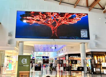 L’Aljub se transforma en una sala de arte uniéndose al proyecto ‘Metamorfosis Visual’
