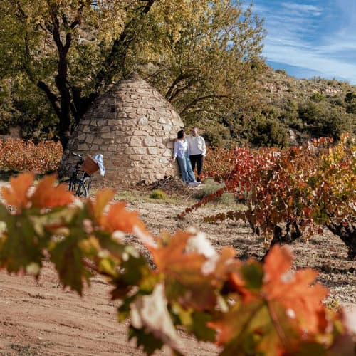 El enoturismo en Rioja continúa al alza y la DOCa consolidó su liderazgo en los mercados del vino en 2024