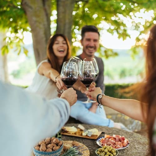 Agenda de eventos y actividades en bodegas para este verano