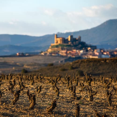 El Grupo Operativo para la Protección del Paisaje y Viñedo, promovido por el Consejo Regulador de la DOCa, avanza para lograr la preservación del patrimonio natural de la Denominación