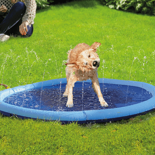 ALDI pone a la venta una selección de productos para mascotas a precios bajos