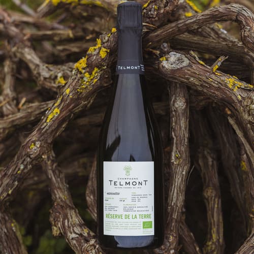 Telmont presenta "Réserve de la Terre", elaborada exclusivamente con uvas ecológicas