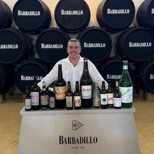 Álvaro Alés, nuevo Director de Marketing y Comunicación Global de Bodegas Barbadillo