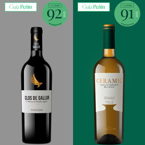 Guía Peñín otorga grandes puntuaciones a los vinos de alta gama de Bodegas Vicente Gandía