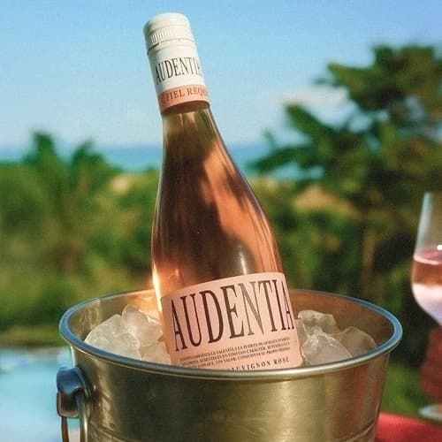 Bodegas Murviedro propone celebrar el Día del Aperitivo con su gama Audentia