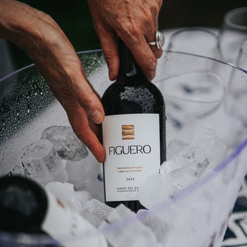 ¡¡¡SI!!! A la cubitera. 5 claves para disfrutar del tinto en verano
