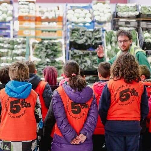 Mercabarna y la AGEM celebran 25 años de ‘5 al día’, el programa pionero de promoción de frutas y hortalizas