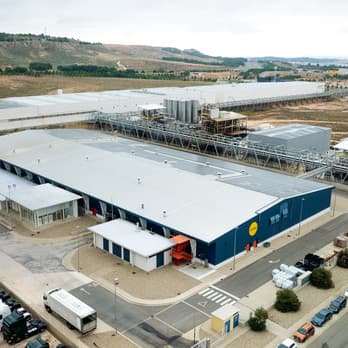 Grupo UVESA, pionera en España en la automatización del sexado de pollos