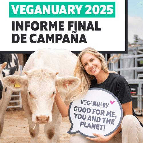 La CEO de Veganuary reflexiona sobre su último año antes de pasar el relevo: 25,8 millones de participantes, más de 1.480 nuevos productos veganos en el mercado y la campaña se expande a 20 países