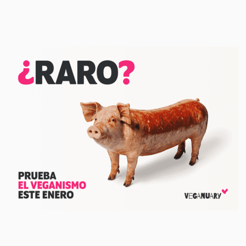 Año nuevo, nuevo Veganuary