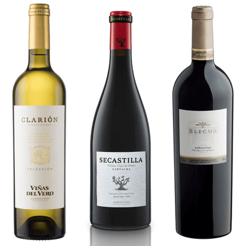 Viñas del Vero se alza como la mejor bodega de la D.O. Somontano en VinEspaña 2025