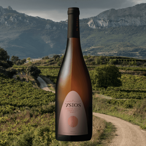 Ysios presenta Finca El Nogal Blanco VS 2023: la nueva joya blanca de Rioja Alavesa