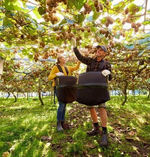 ZespriTM presenta su compromiso con la sostenibilidad en Fruit Attraction 2024