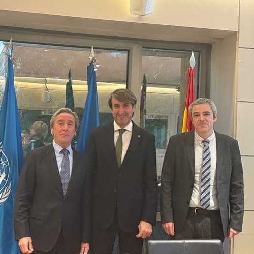ASEMESA participa en la 65ª reunión del Comité Consultivo de Aceite de Oliva y Aceituna de Mesa del COI